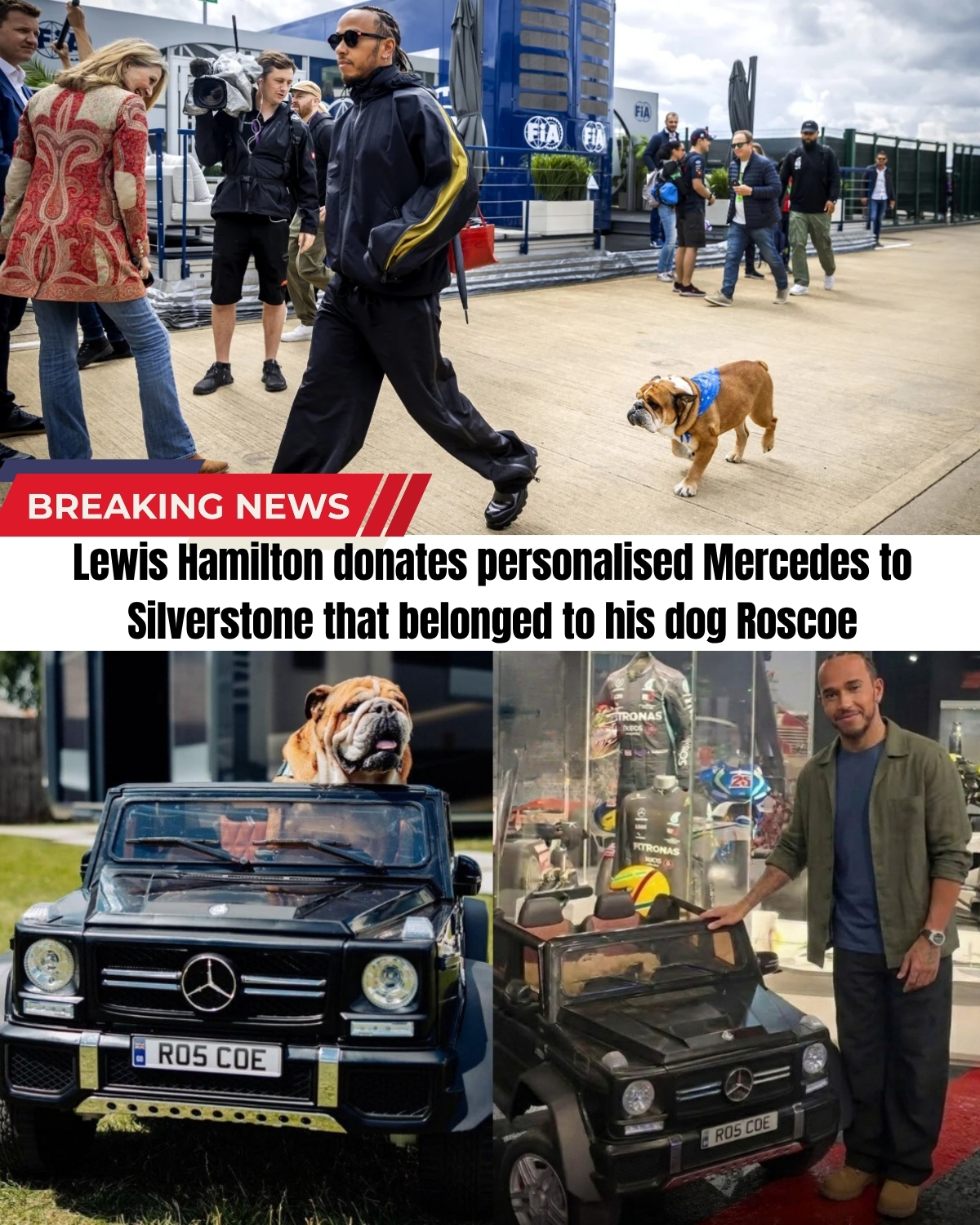 F1 fans, grab your tissues! ๐ญ Following the heartbreaking loss of the paddockโs favorite “four-legged legend,” Lewis Hamilton just made a final, tear-jerking move at Silverstone.