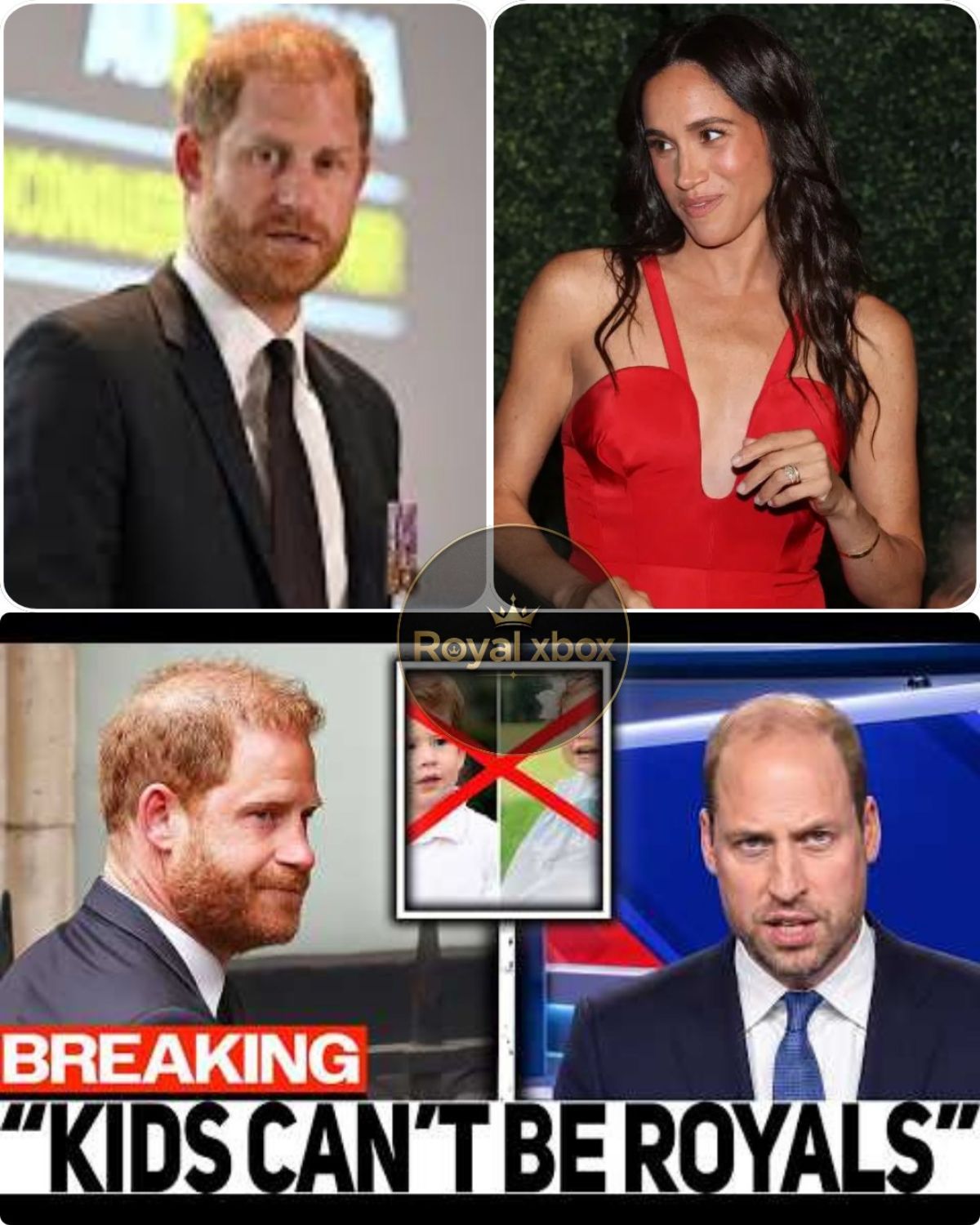 The Palace’s Irreversible Decision: How Prince William Plans to Erase the Sussex Titles Forever