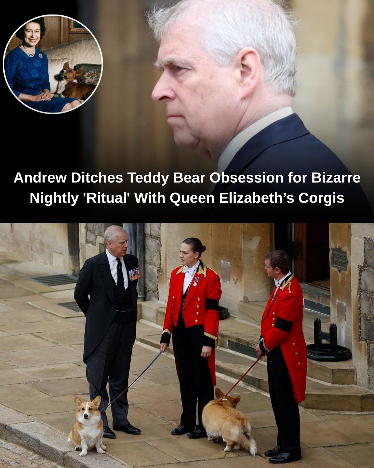 Andrew Ditches Teddy Bear Obsession for Bizarre Nightly ‘Ritual’ With Queen Elizabeth’s Corgis