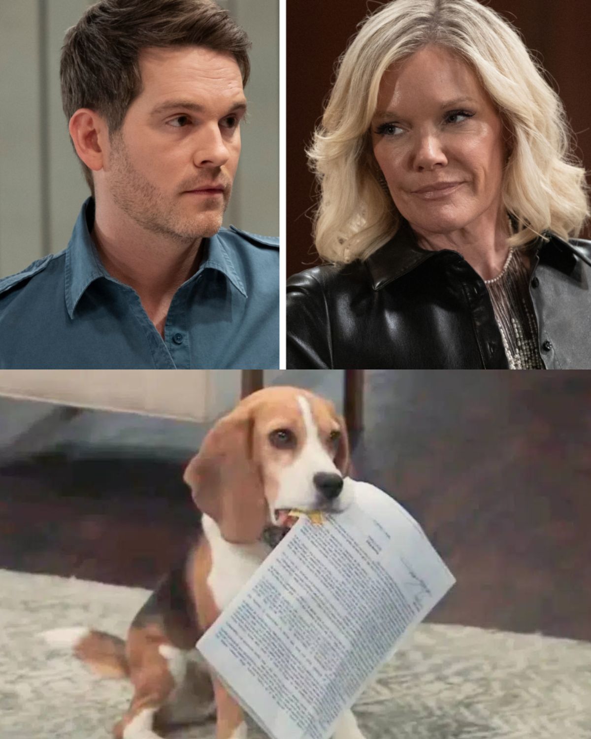 Ava Just Put Lucas in DANGER?!” GH Spoilers Tease a Risky Move That Could Backfire Horribly